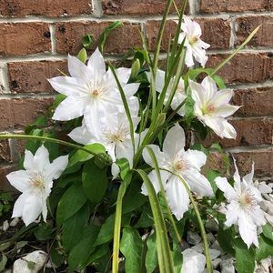 Meet your Posher, Cathy